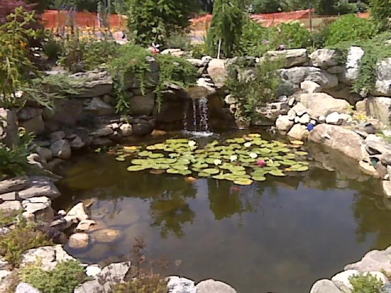 Koi pond and water feature surrounded by natural stone