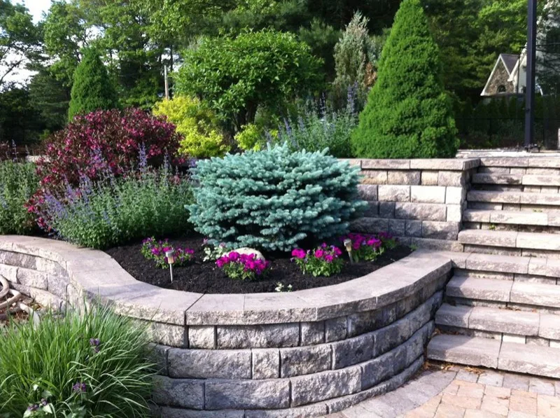 Stone retaining wall and steps with landscape planting